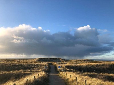 Holiday house Holiday Home in Schoorl near Dunes - Environment photo 37