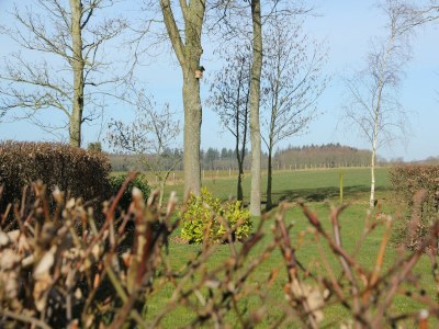 Holiday house Serene Holiday Home in Gaasterlân-Sleat - Outdoor photo 5