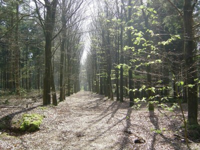 Holiday house Serene Holiday Home in Gaasterlân-Sleat - Environment photo 27