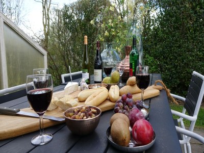 Holiday house Wellness am Wasser in Earnewoude - Outdoor photo 11