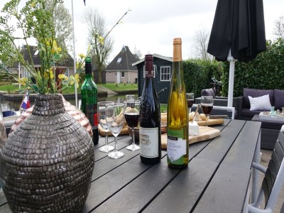 Holiday house Wellness am Wasser in Earnewoude - Outdoor photo 36