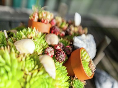 Holiday house Schönes Ferienhaus Zeeroos in Zeeland - Outdoor photo 29