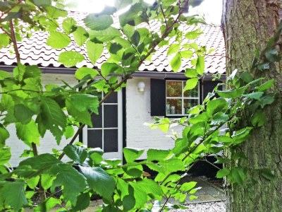 Holiday house Schönes Ferienhaus Zeeroos in Zeeland - Outdoor photo 34