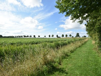 Holiday house Villa in Bruinisse near Grevelingenmeer - Outdoor photo 10