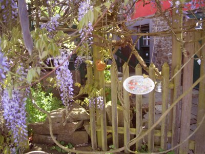 Holiday apartment "Rotes Fachwerkhaus" - Outdoor photo 6