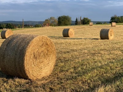 Holiday apartment "Rotes Fachwerkhaus" - Environment photo 21