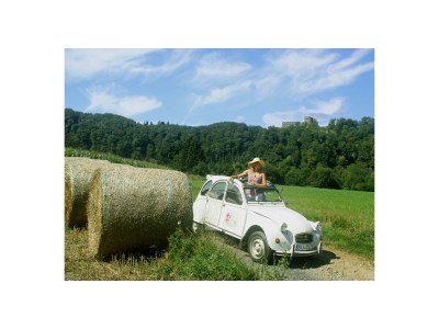 Holiday apartment "Rotes Fachwerkhaus" - Environment photo 22