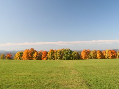 Holiday apartment "Rotes Fachwerkhaus" - Environment photo 23