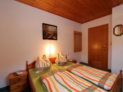 Apartment Apartment Sulzau near Wildkogel Ski Slopes - Features photo 17