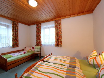 Apartment Apartment Sulzau near Wildkogel Ski Slopes - Features photo 21
