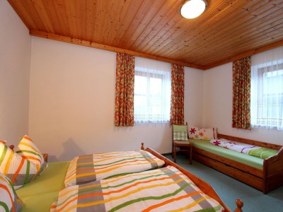 Apartment Apartment Sulzau near Wildkogel Ski Slopes - Features photo 28