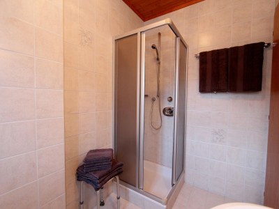 Apartment Apartment Sulzau near Wildkogel Ski Slopes - Features photo 32