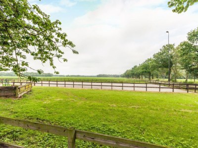 Holiday house Ferienhaus in Oisterwijk mit Pool - Outdoor photo 8
