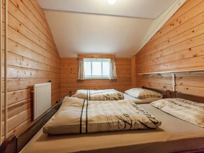 Holiday house Ferienhaus in Oisterwijk mit Pool - Features photo 14