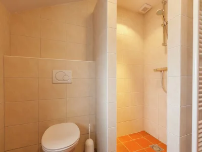 Holiday house Ferienhaus in Oisterwijk mit Pool - Features photo 22