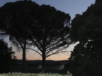 Holiday house Ferienhaus in Oisterwijk mit Pool - Environment photo 25