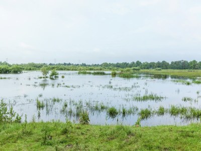 Holiday house Ferienhaus in Oisterwijk mit Pool - Environment photo 31