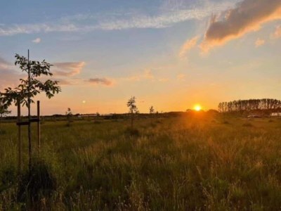 Holiday house Ferienhaus in Oisterwijk mit Pool - Environment photo 34