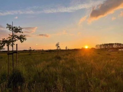 Holiday house Ferienhaus in Oisterwijk mit Pool - Environment photo 36
