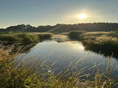 Holiday house Ferienhaus in Oisterwijk mit Pool - Environment photo 37