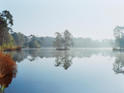 Apartment Holiday Home in Haaren near De Efteling - Environment photo 37