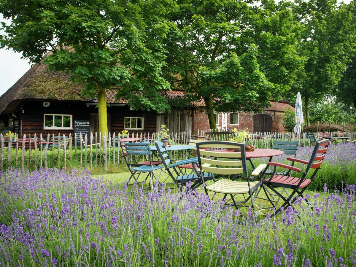 Holiday house Bauernhaus in Reusel bei Radwegen - Outdoor photo 4