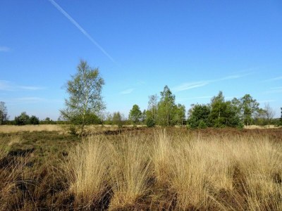 Holiday house Bauernhaus in Reusel bei Radwegen - Environment photo 31