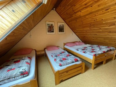 Farmhouse Familienbauernhof mit Go-Karts - Features photo 10