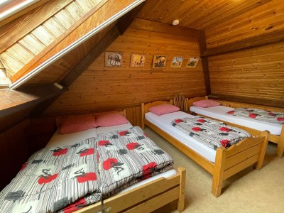 Farmhouse Familienbauernhof mit Go-Karts - Features photo 16