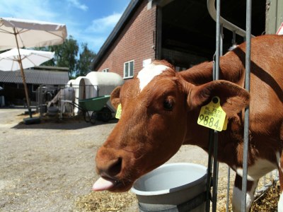 Farmhouse Familienbauernhof mit Go-Karts - Outdoor photo 34