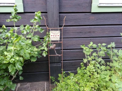 Holiday apartment "Alter Bahnhof" - Environment photo 15