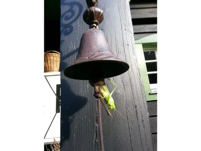 Holiday apartment "Alter Bahnhof" - Environment photo 16