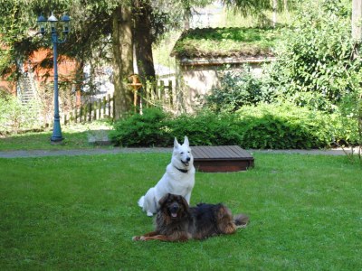 Holiday apartment "Alter Bahnhof" - Environment photo 17