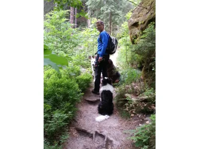 Holiday apartment "Alter Bahnhof" - Environment photo 19