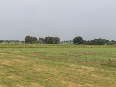 Holiday house Gemütliches Ferienhaus mit Garten - Environment photo 26