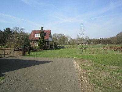 Holiday house Ferienhaus in Well am Maasduinen Park - Outdoor photo 4