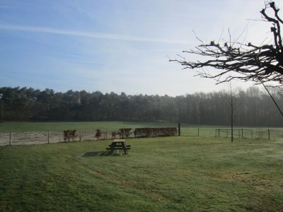 Holiday house Ferienhaus in Well am Maasduinen Park - Outdoor photo 7