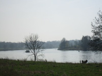 Holiday house Ferienhaus in Well am Maasduinen Park - Environment photo 33