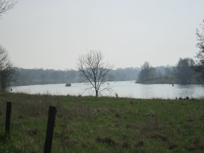 Holiday house Ferienhaus in Well am Maasduinen Park - Environment photo 35