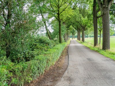Cottage Limburgisches Herrenhaus mit Spa in Waldnähe - Environment photo 36
