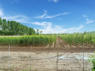 Cottage Limburgisches Herrenhaus mit Spa in Waldnähe - Environment photo 37