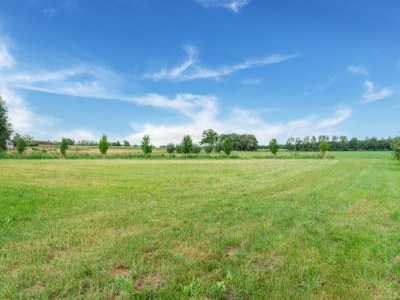 Cottage Limburgisches Herrenhaus mit Spa in Waldnähe - Environment photo 40