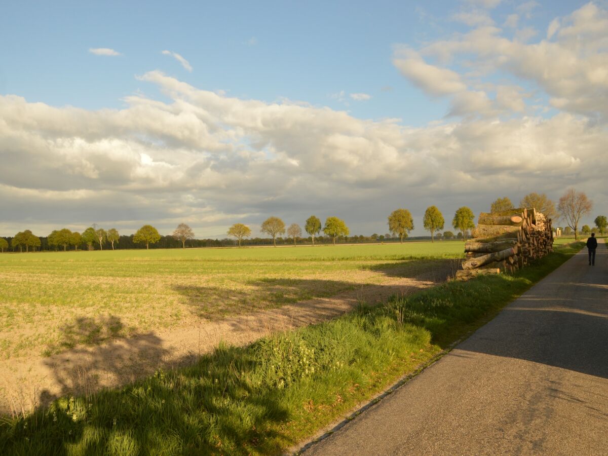 Holiday house Bauernhaus in Nederweert am Kanal - Outdoor photo 5