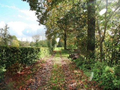 Farmhouse Coachman's House near Roermond with Garden - Environment photo 32