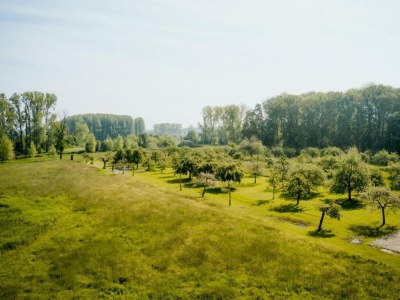 Farmhouse Coachman's House near Roermond with Garden - Environment photo 34