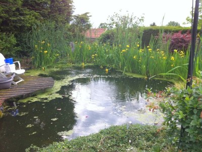 Holiday house Ferienhaus in Sittard mit Pool - Outdoor photo 3