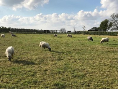 Holiday house Ferienhaus in Sittard mit Pool - Environment photo 25