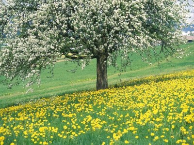 Holiday house Ferienhaus in Sittard mit Pool - Environment photo 29