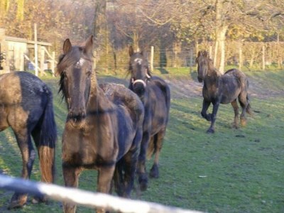 Apartment Modernes Refugium mit Terrasse - Environment photo 22