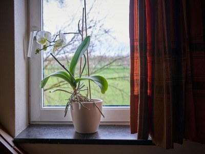 Apartment Modernes Refugium mit Terrasse - Outdoor photo 28